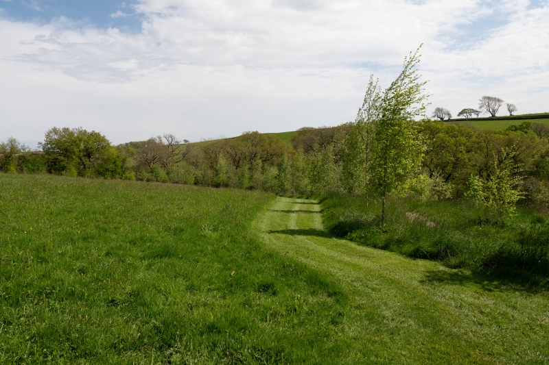 Caudworthy Park